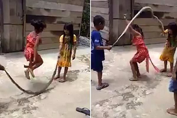 Những hình ảnh này khiến ai nấy đều choáng váng. Hình ảnh cắt từ clip.
