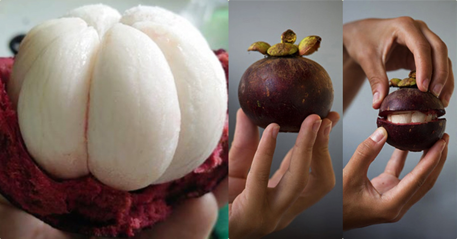 Không nên chọn quả quá to