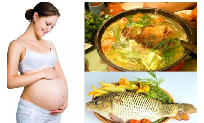 Cá chép trị nôn mửa ốm nghén cho mẹ bầu hiệu quả