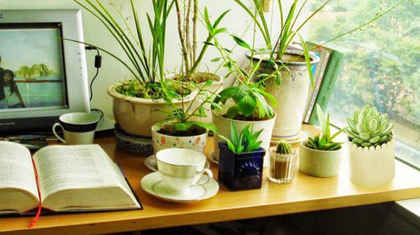 Không đặt bàn làm việc ở tầng gác mái