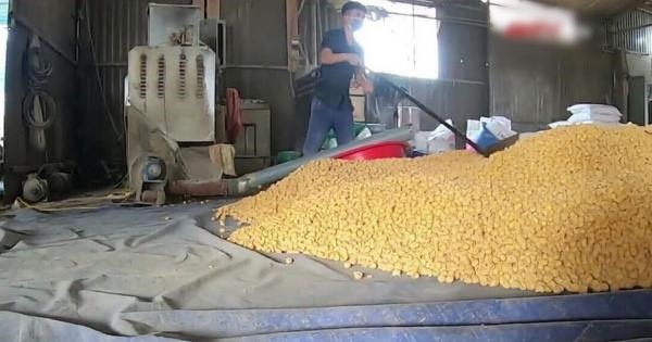 Bim bim giá rẻ được sản xuất trong điều kiện mất vệ sinh an toàn thực phẩm.