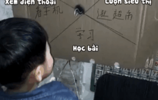 Cậu con trai bị bố lừa.