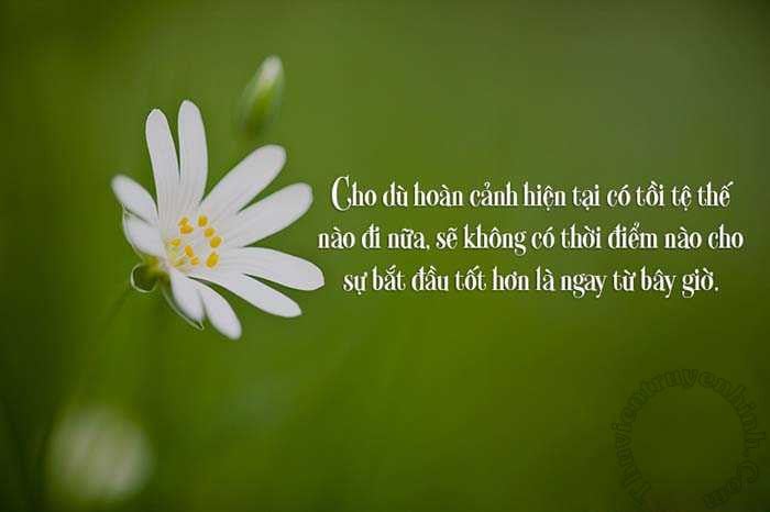 stt-hay-ve-cuoc-song-tinh-yeu-tinh-ban-gia-dinh (2)