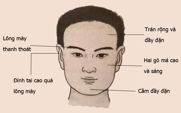 Trán cao dô người đàn ông giàu có