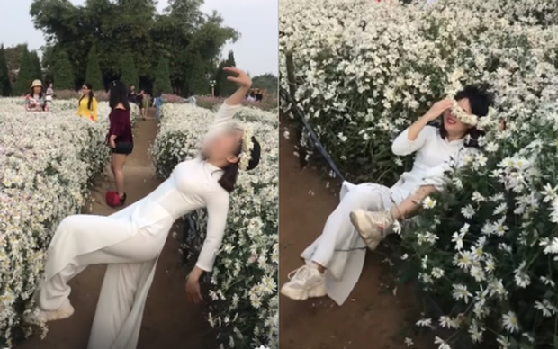 Cô gái không may ngã vào luống cúc họa mi khi chụp ảnh.