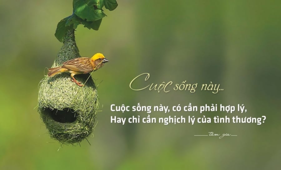 50-cau-noi-hay-ve-cuoc-song-tham-duom-long-nguoi-giup-ta-yeu-doi-hon