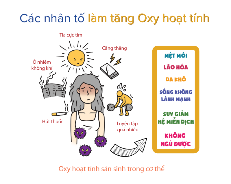 Các tác động của môi trường làm quá trình lão hóa diễn ra nhanh hơn