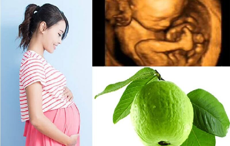 Mẹ bầu ăn ổi ngăn ngừa dị tật thai nhi