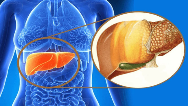  3 đặc điểm thay đổi ở bàn tay sẽ giúp bạn tự kiểm tra bệnh gan.