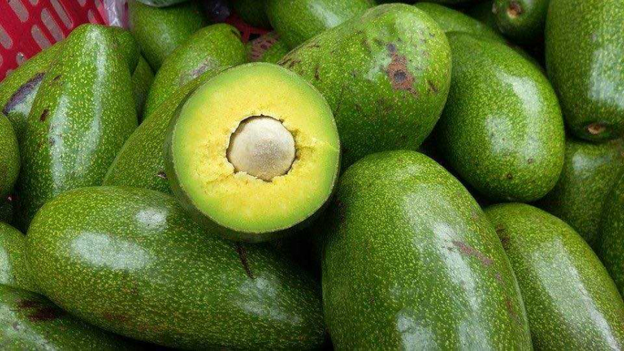 Bí quyết chọn bơ ngon