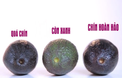 Cách chọn bơ ngon