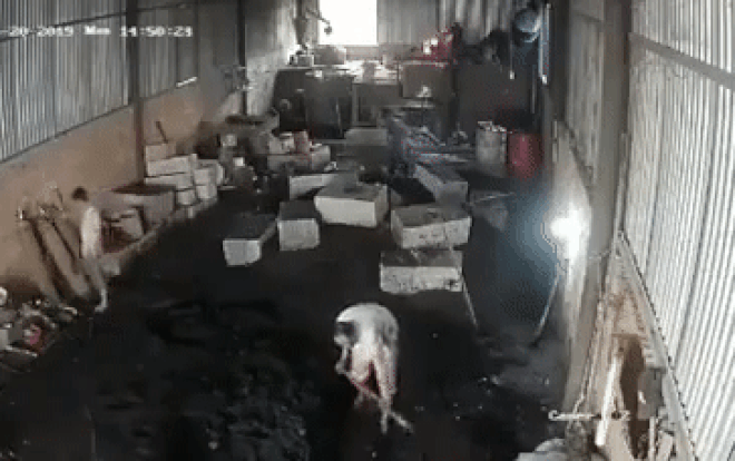 Hình ảnh cắt từ clip.