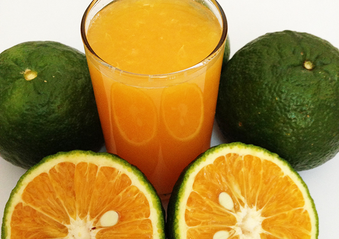 Chọn cam ngon đúng mùa