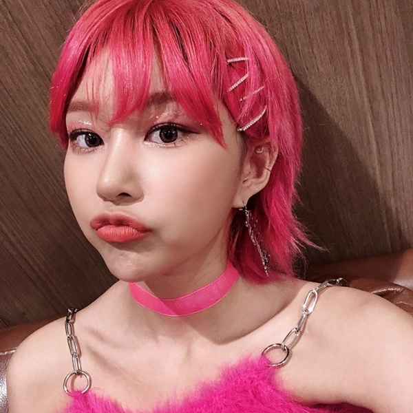 224725_momoland_official_69153180_894696520916587_4274780960588295731_n