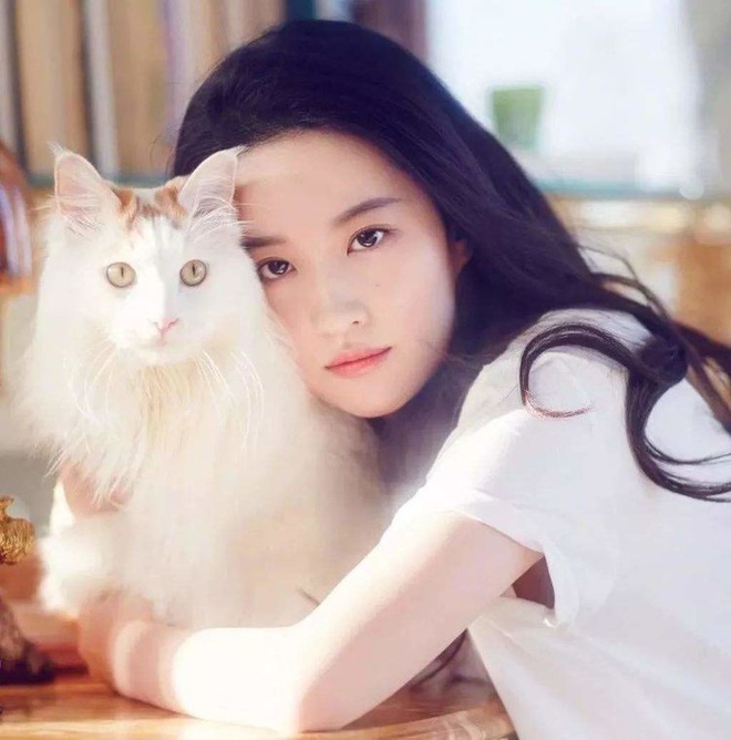 luudiecphi47