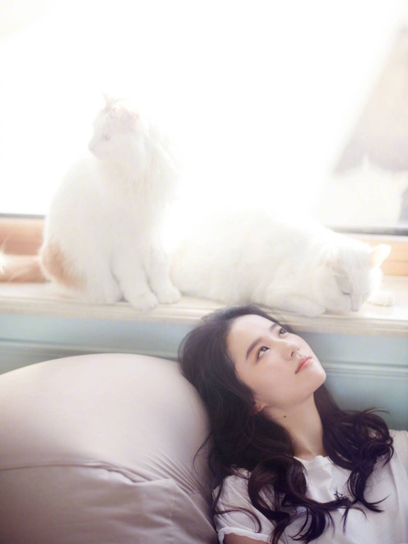 luudiecphi49