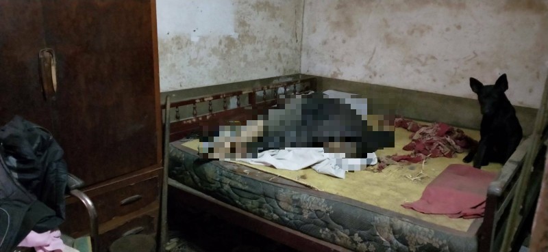 Chú chó túc trực bên chủ nhân đã qua đời khiến bao người cảm động.