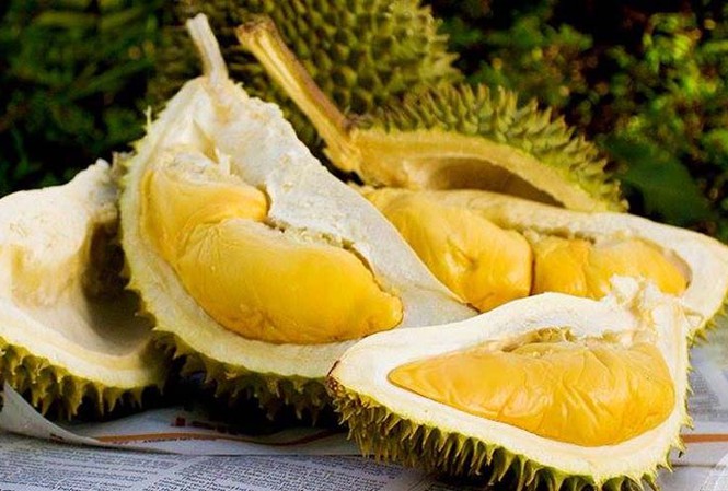 Không thắp hương quả có gai nhọn