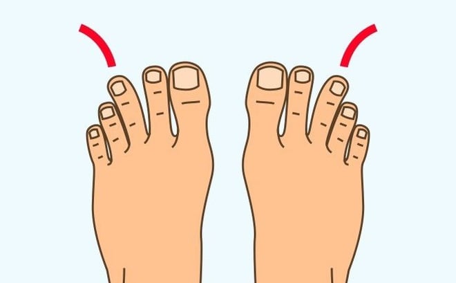 Người ngón chân cái to và dài dễ làm lãnh đạo