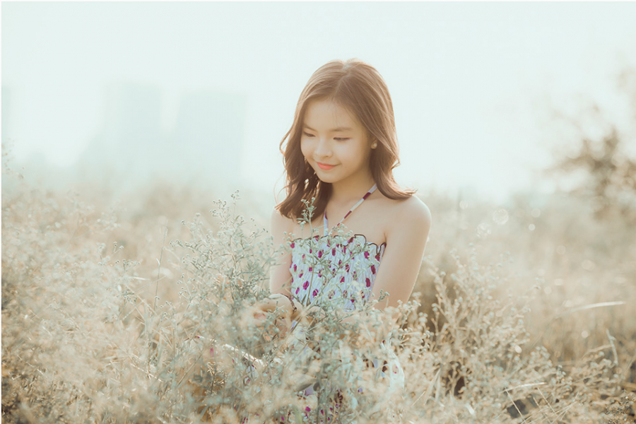 (ảnh minh họa)