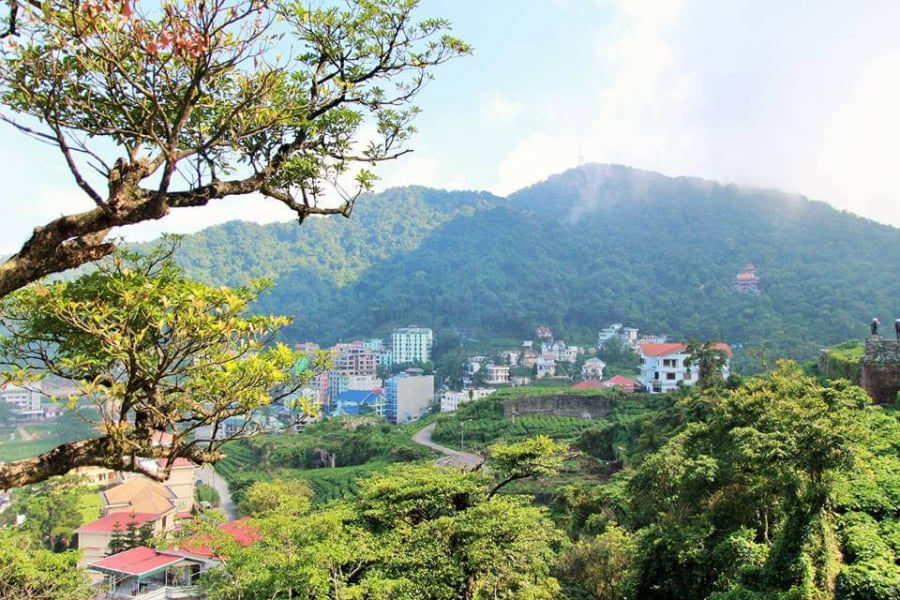 tam dao
