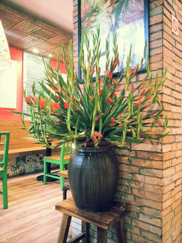 Hoa lay ơn quen thuộc cũng có thể khác biệt nếu biết cách cắm.