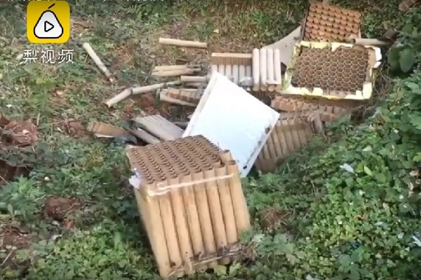 Số vỏ pháo mừng thọ khiến 246 con gà đột tử.