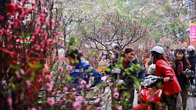 Miền Bắc rét đậm, miền Nam nắng ấm dịp Tết Nguyên đán. Ảnh minh họa.