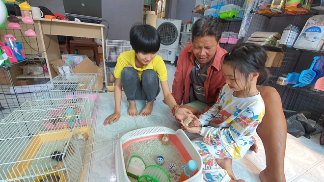 Trẻ em thích thú chơi đùa với những chú chuột xinh xắn