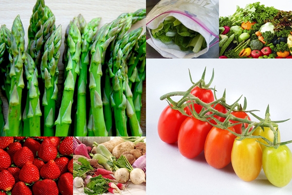 Chọn rau củ tươi ngon nên dùng tay kiểm tra
