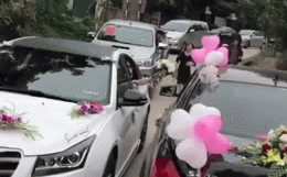 Khoảnh khắc khiến nhiều người thích thú.