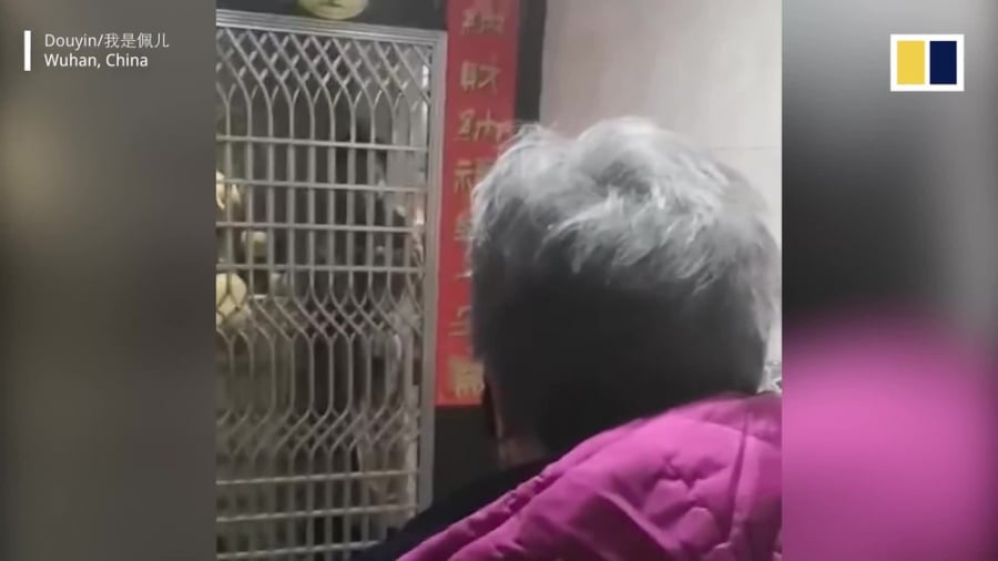 Mẹ già bật khóc khi thấy con trai tự cách ly vì nghi nhiễm virus corona.
