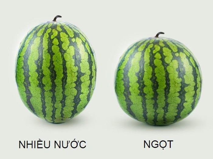 Chọn dưa ngon ngọt