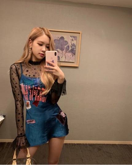 Rose23