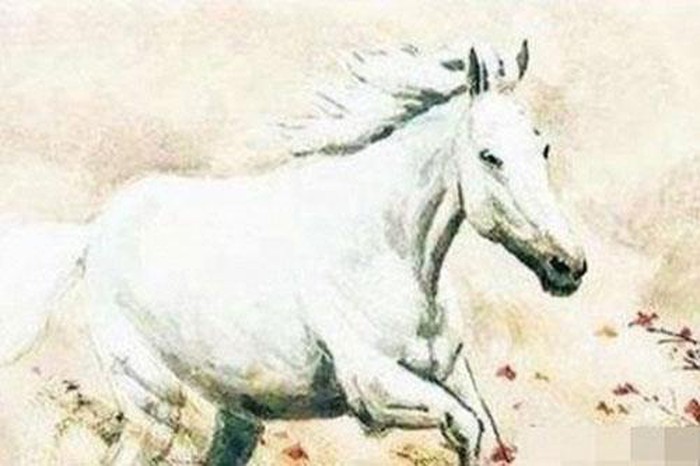 Tuổi Ngọ may mắn thời gian tới