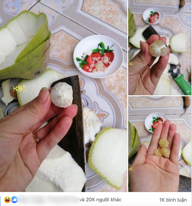 Hình ảnh được chia sẻ trên một hội nhóm đã thu hút được rất nhiều sự quan tâm của mọi người. 