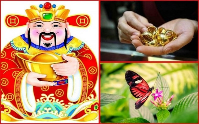 Nếu bạn gặp rắn thì đó là điều may mắn