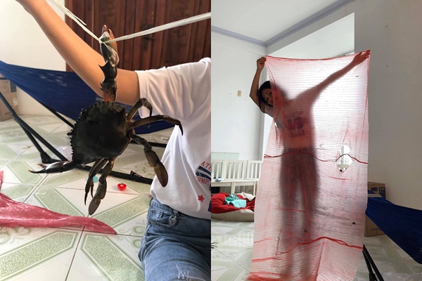 Con cua sau khi được cô gái tháo dây buộc ra.