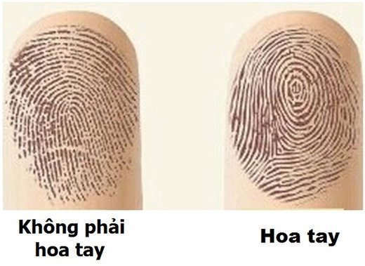 Người không có hoa tay là người đặc biệt