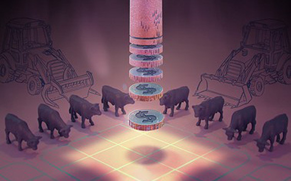 vrcno4vxmxzbf7g8-1574872361692126226772-crop-1574872374990757141711