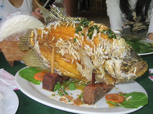 nhung luu y khi an ca-phunutoday