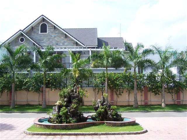 Trông cây cau giúp hút tài lộc
