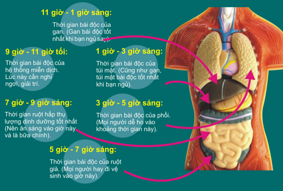 5-gio-doc-tinh-giac-giua-dem-chung-to-noi-tang-dang-u-benh-anh-1