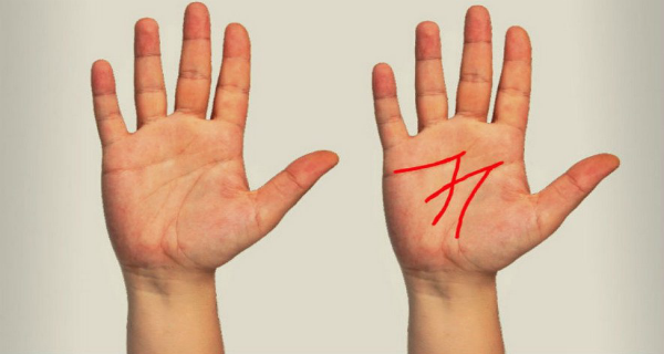 Bàn tay to lớn  so vơi tỷ lệ Sh88bet đăng ký miễn phí số phận giàu có
