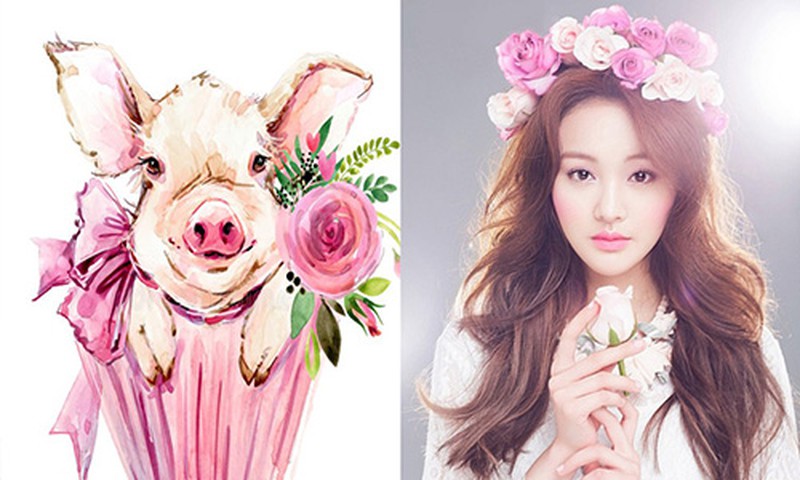Tuổi hợi may mắn trong năm Canh Tý