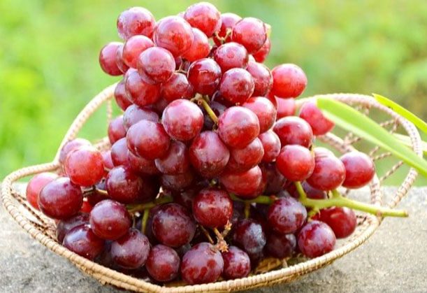 Nho giúp chống viêm gan hiệu quả