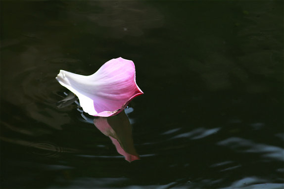 binh-an