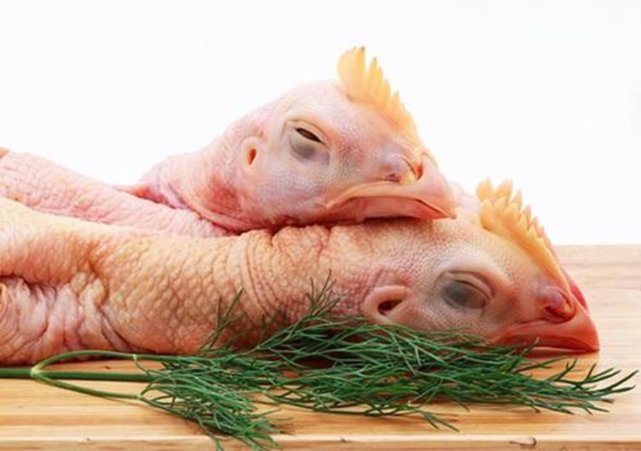 Cổ gà chứa nhiều chất độc