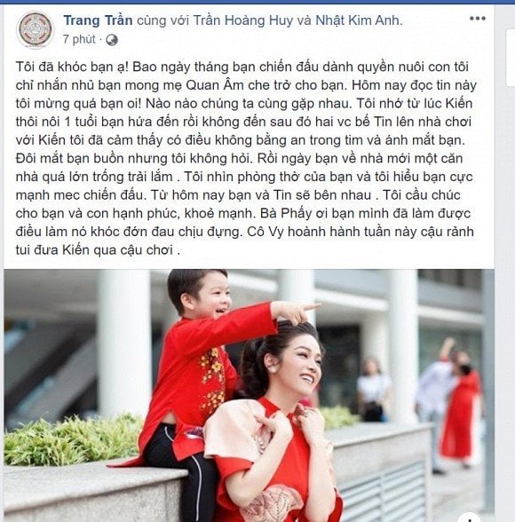 nhat-kim-anh-gianh-quyen-nuoi-con-1