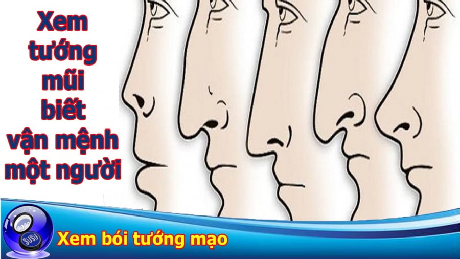 xem-tuong-mui